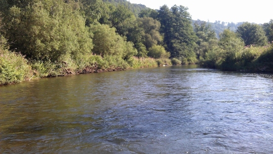 Horb am Neckar